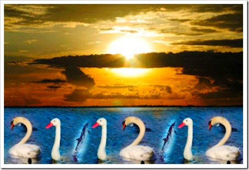 21.12.12 21.12.12