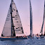 r115.jpg