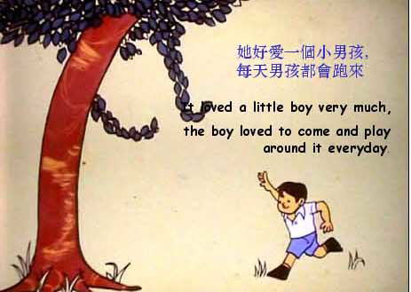 The Boy & The Apple Tree