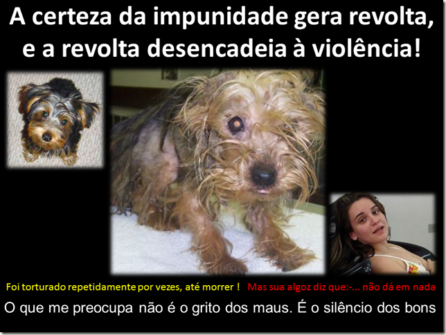 impunidade_camilla impunidade_camilla