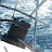 DSCF0402.JPG