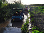 p1235389006(9).jpg