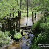 Zaskórz -ruiny młyna dsc06304.jpg