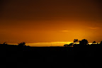 DSC00769.JPG