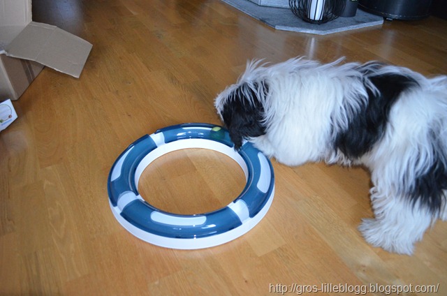 [DSC_0042%255B3%255D.jpg]