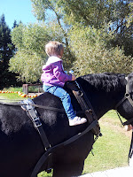 20120929_142910.jpg