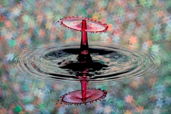 liquid-drop-art-gotas-caindo-foto-velocidade-hora-certa-desbaratinando (11) liquid-drop-art-gotas-caindo-foto-velocidade-hora-certa-desbaratinando (11)