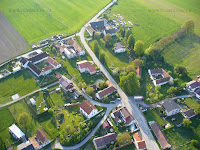 Borovnice_010.JPG