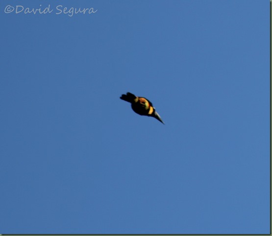 IMG_1227 IMG_1227