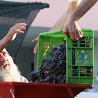 IMG_6463.JPG