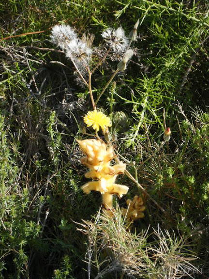 2013_04180019.jpg