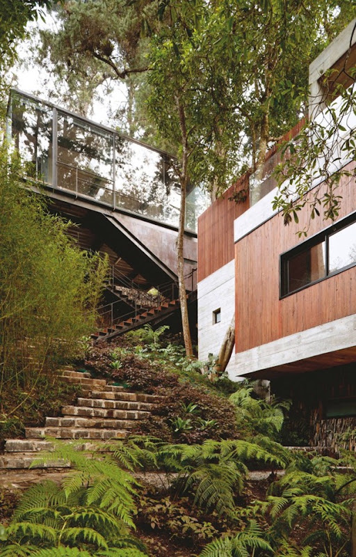 corallo house by paz arquitectura 8 corallo house by paz arquitectura 8