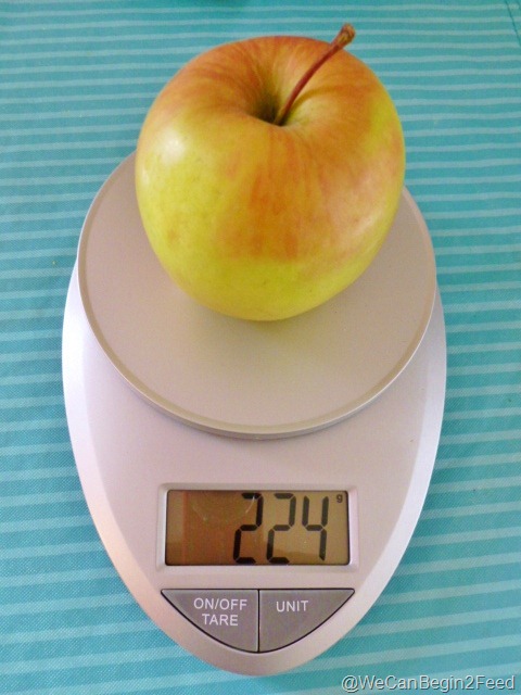 [Jan%252013%2520food%2520scale%2520008%255B3%255D.jpg]