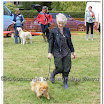 Pet Dogs 028.jpg