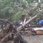 2012-08-06 16.52.32.jpg