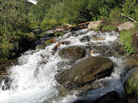 IMG_8624.JPG