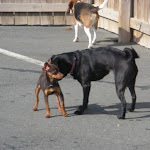 DSCN4748.jpg