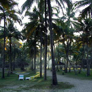 Marari Beach Resort