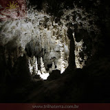 Esculpidas pela natureza - Carlsbad Caverns - Carlsbad, NM