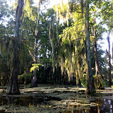 Sunrise Lake Martin Paddle - Sunrise%252520Lake%252520Martin%252520Paddle%252520031.jpg