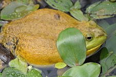 DSC_0067.JPG