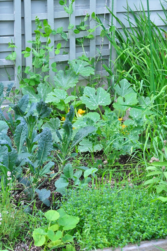 garden garden