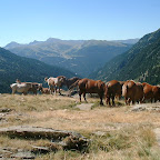 DSCF4872.JPG