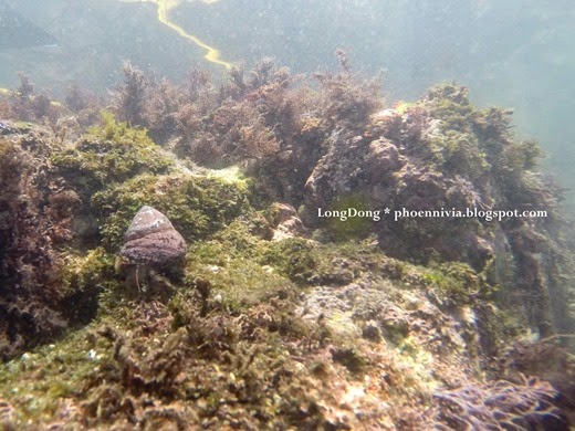 GOPR0284 GOPR0284