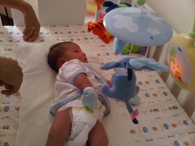 [IMG00950-20120106-0944%255B2%255D.jpg]