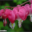 DSC02820.jpg