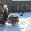 снежная зима 08-09 года (12).JPG