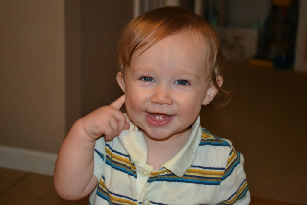 [DSC_0015%255B4%255D.jpg]