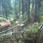 Stadium seating for the movie