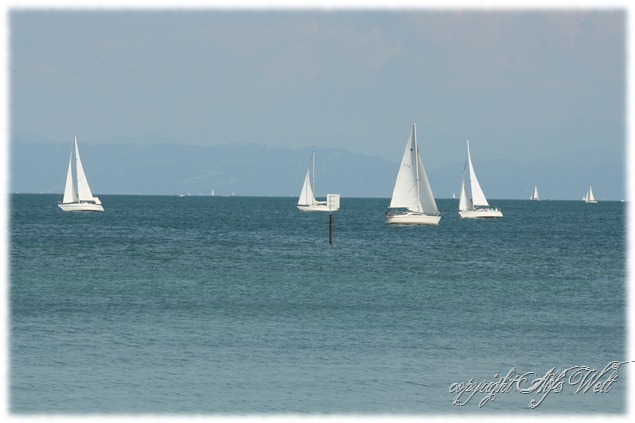 bodensee1