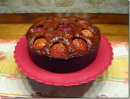 chocolate, plum and hazelnut cake