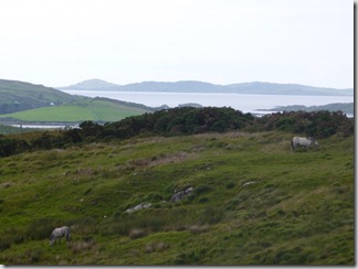 Irlande 2011 253