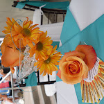 SDC12661.JPG