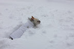 Wait a minute!  I'm not exactly romping here!
