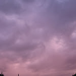 IMG_2541.JPG