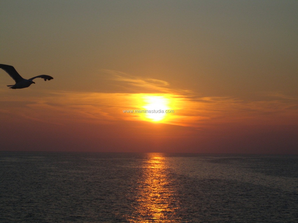 [IMG_1440%255B9%255D.jpg]