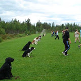 Sommerkurs 2 - Trysil 1. - 6. juli 2007