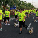 Pet Express Doggie Run 2012 Philippines. Jpg (91).JPG