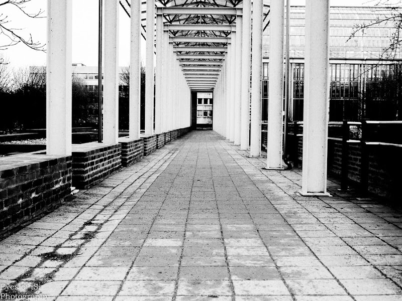 Eyes-of-iSi-München-Schwarz-Weiß-Tore Eyes-of-iSi-München-Schwarz-Weiß-Tore