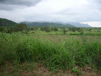 Road to Kidepo National Park