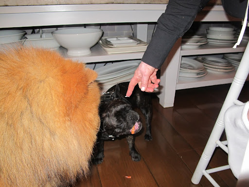 Franny, thanks for the tip about cracking the shell.  Now toot-a-loo!  The lobster is mine!