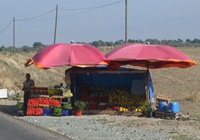 IMG_1562 IMG_1562