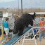 DSC_0062.JPG