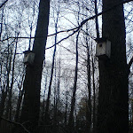 dsc00723.jpg