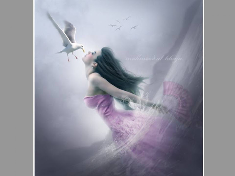 Kiss Of Seagull, Magic Beauties 3