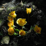 Mark Stafford Reimer Memorial Service